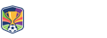蜘蛛直播